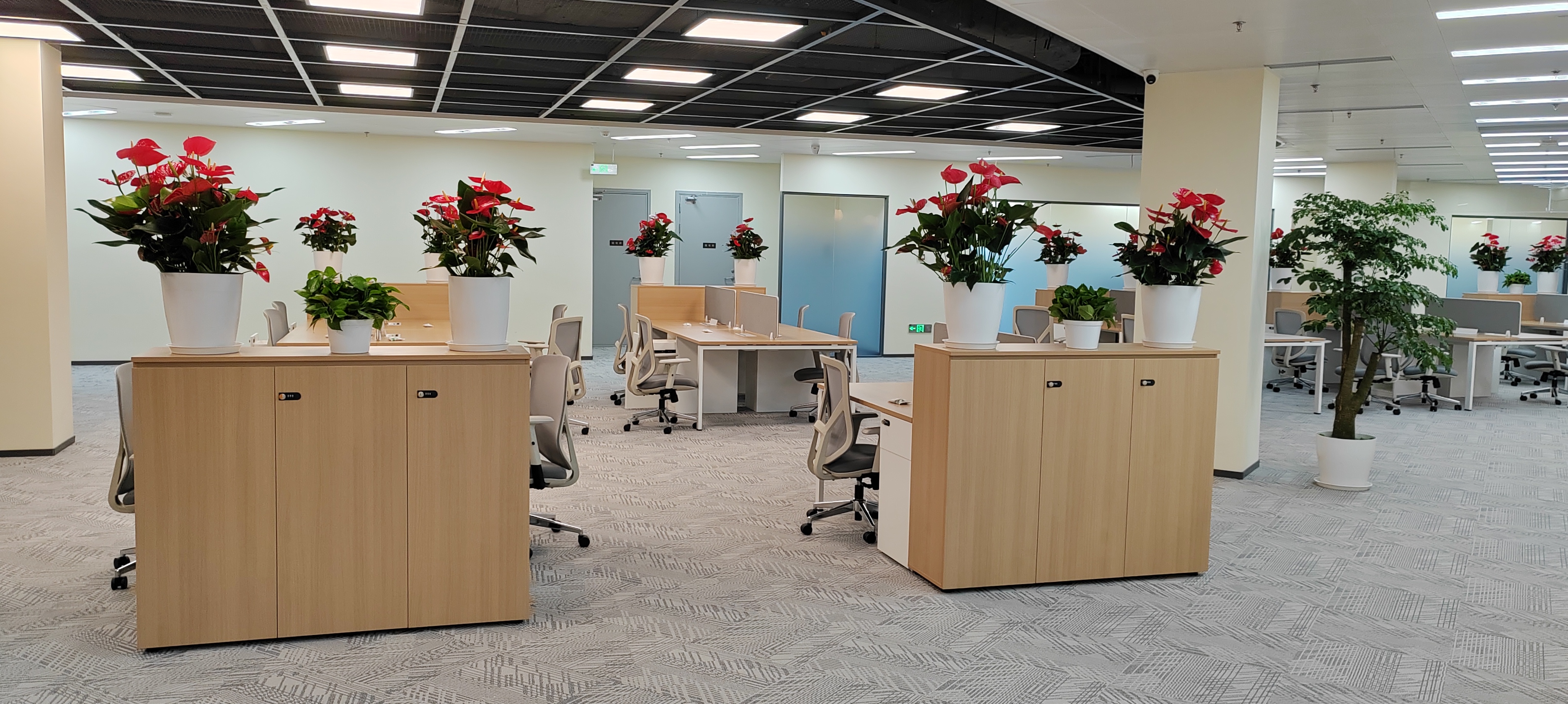 Office Environment 5